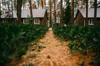 Фото Шале Duck Lake г. Полоцк